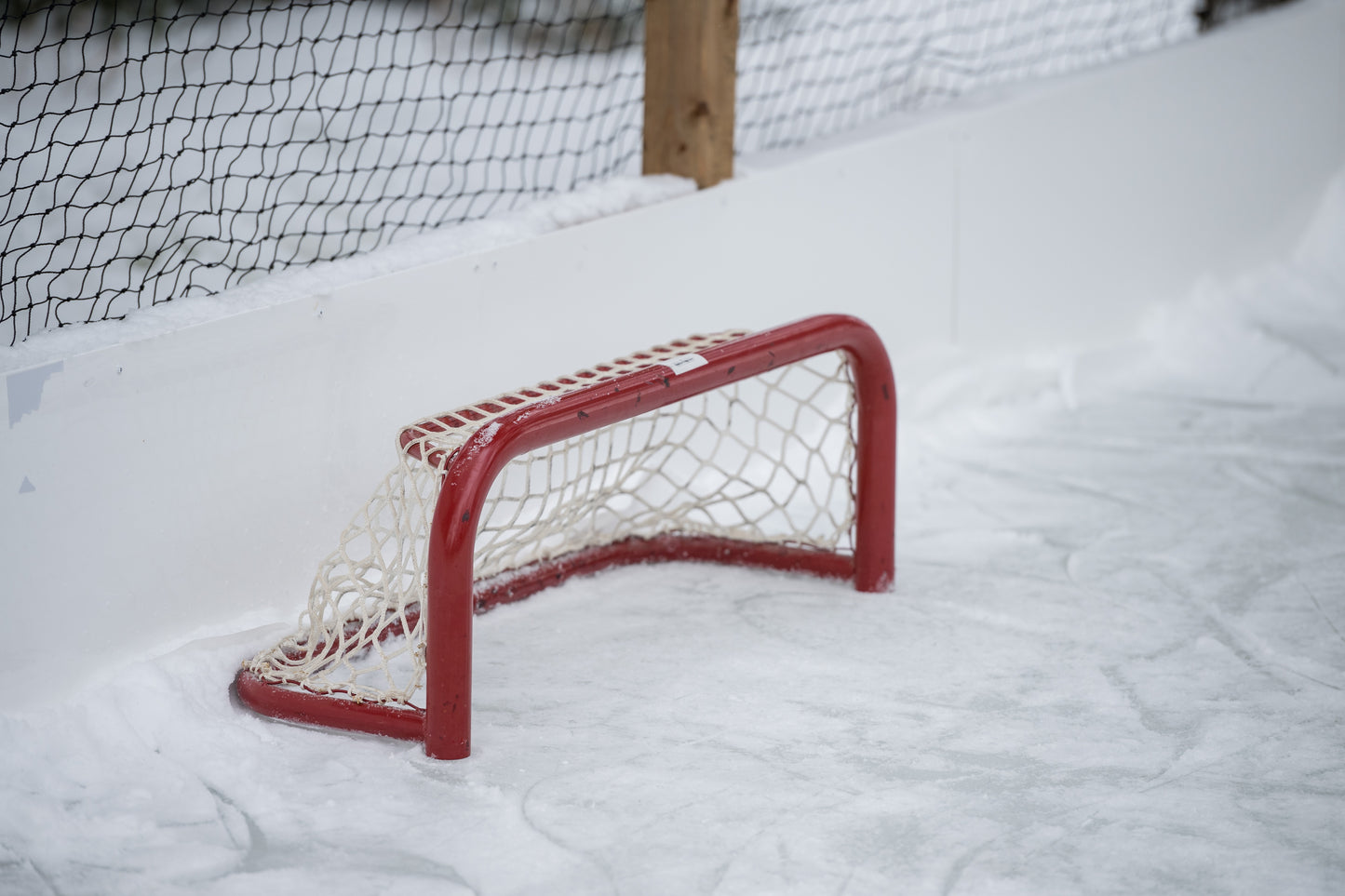 36" Pond Hockey Net