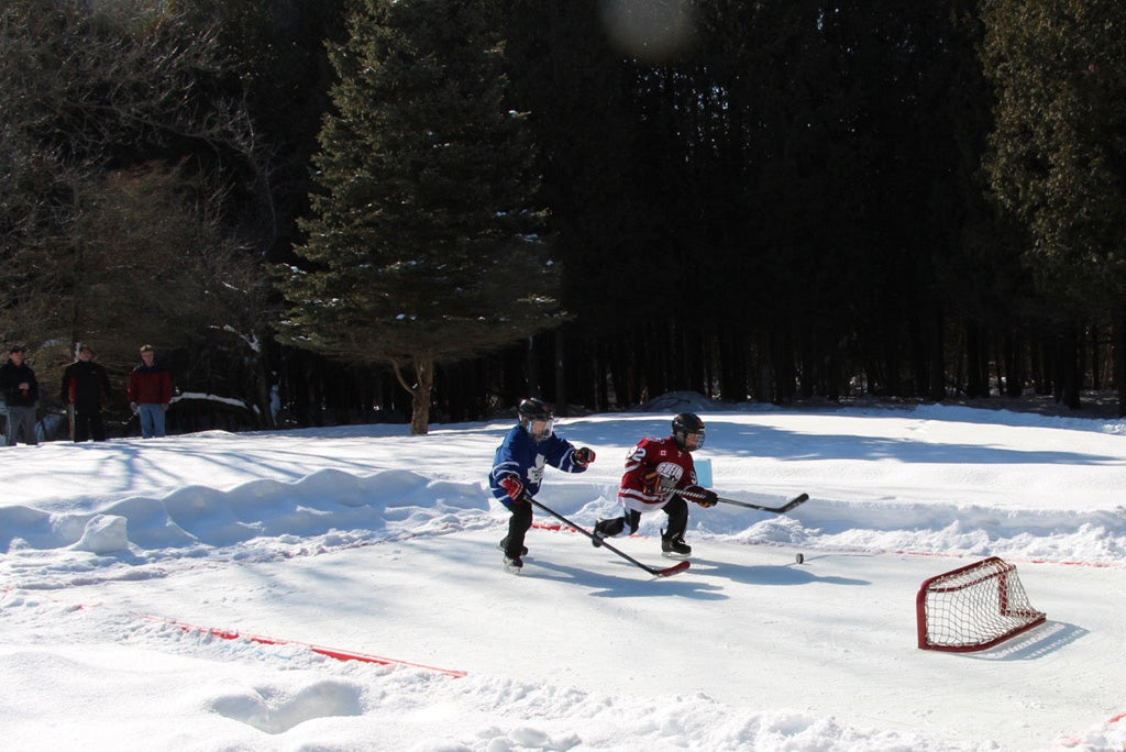 Rink Liner Bundle - SAVE $200