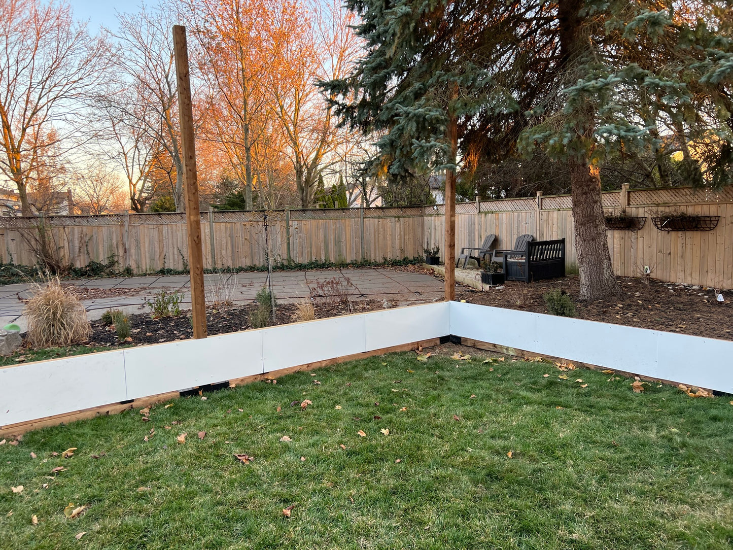 hockey puck board outdoor ice rink