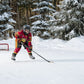 Backyard rink kit