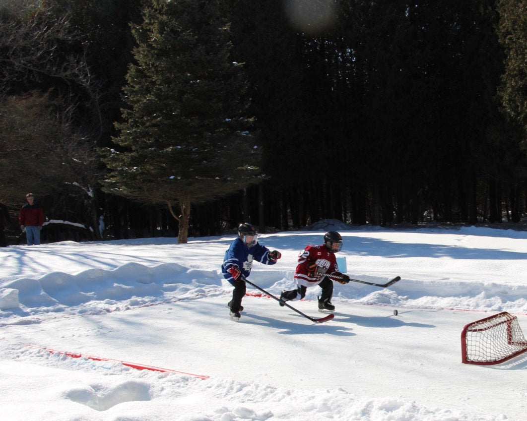 backyard ice rink liner